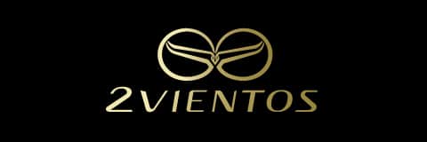 2Vientos Logo als Button