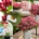 Profitiere von hohen Rabatten auf viele Pflanzen im Shop von "Mein schöner Garten"